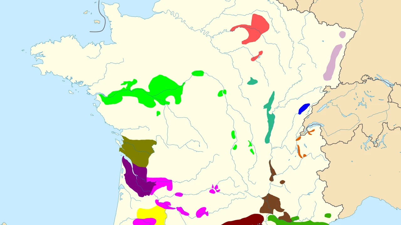Vignes souffrant de la sécheresse dans un vignoble français.
